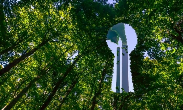 Matchbox Digital - Sustainability Marketing Guide: The High Cost of Greenwashing and How to Avoid Greenwashing